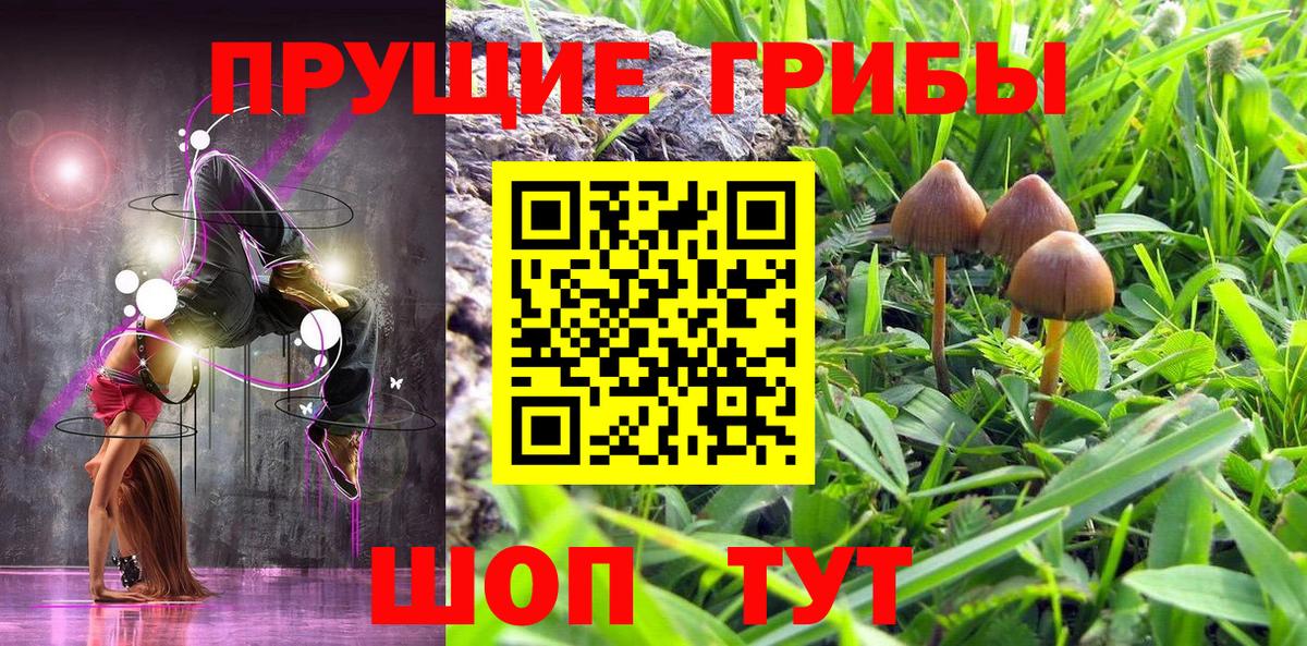 Галлюциногенные грибы Cubensis  Вход с VPN  сколько стоит  Кунгур 